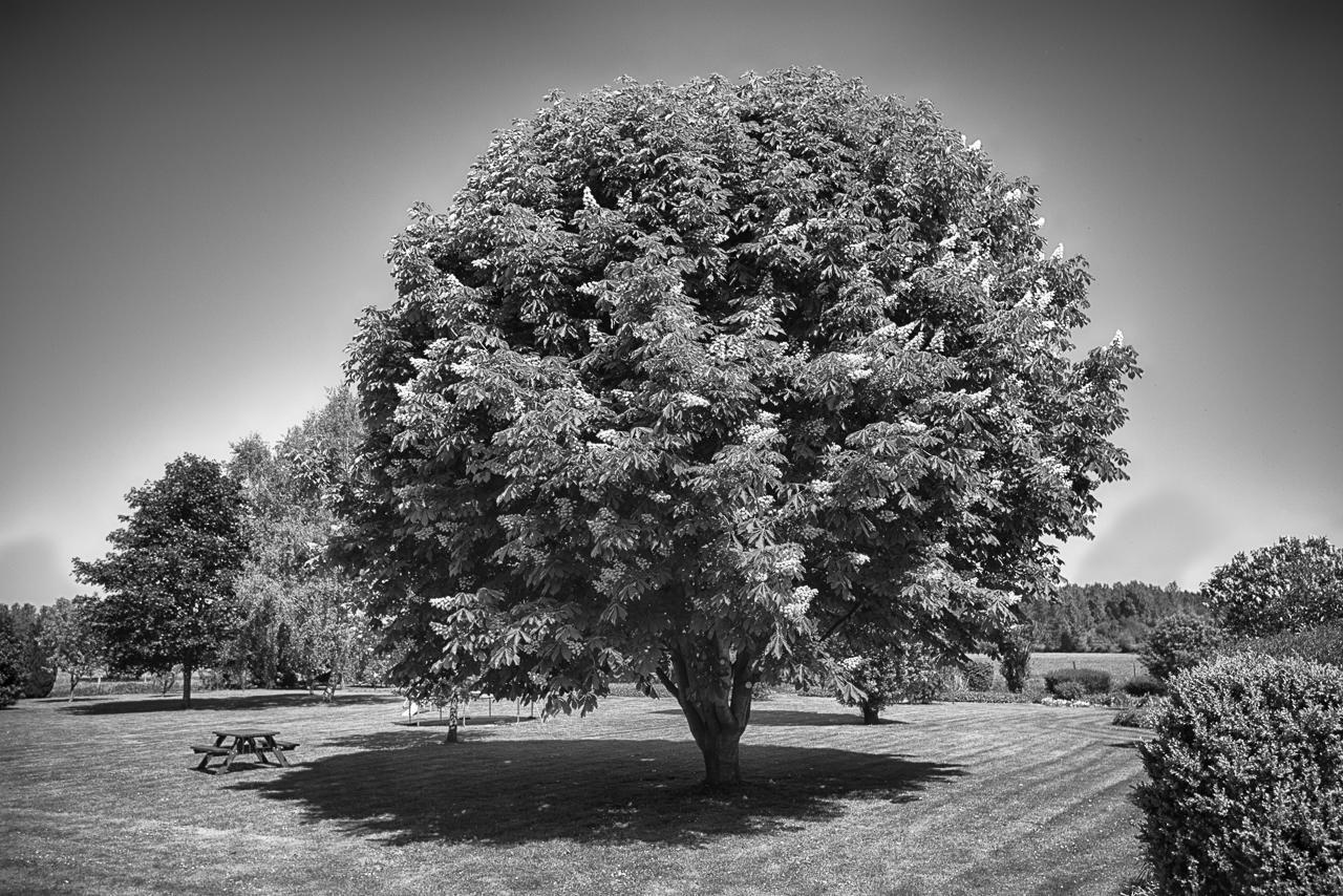 הוילה Vauxaillon Au Jardin Fleuri מראה חיצוני תמונה