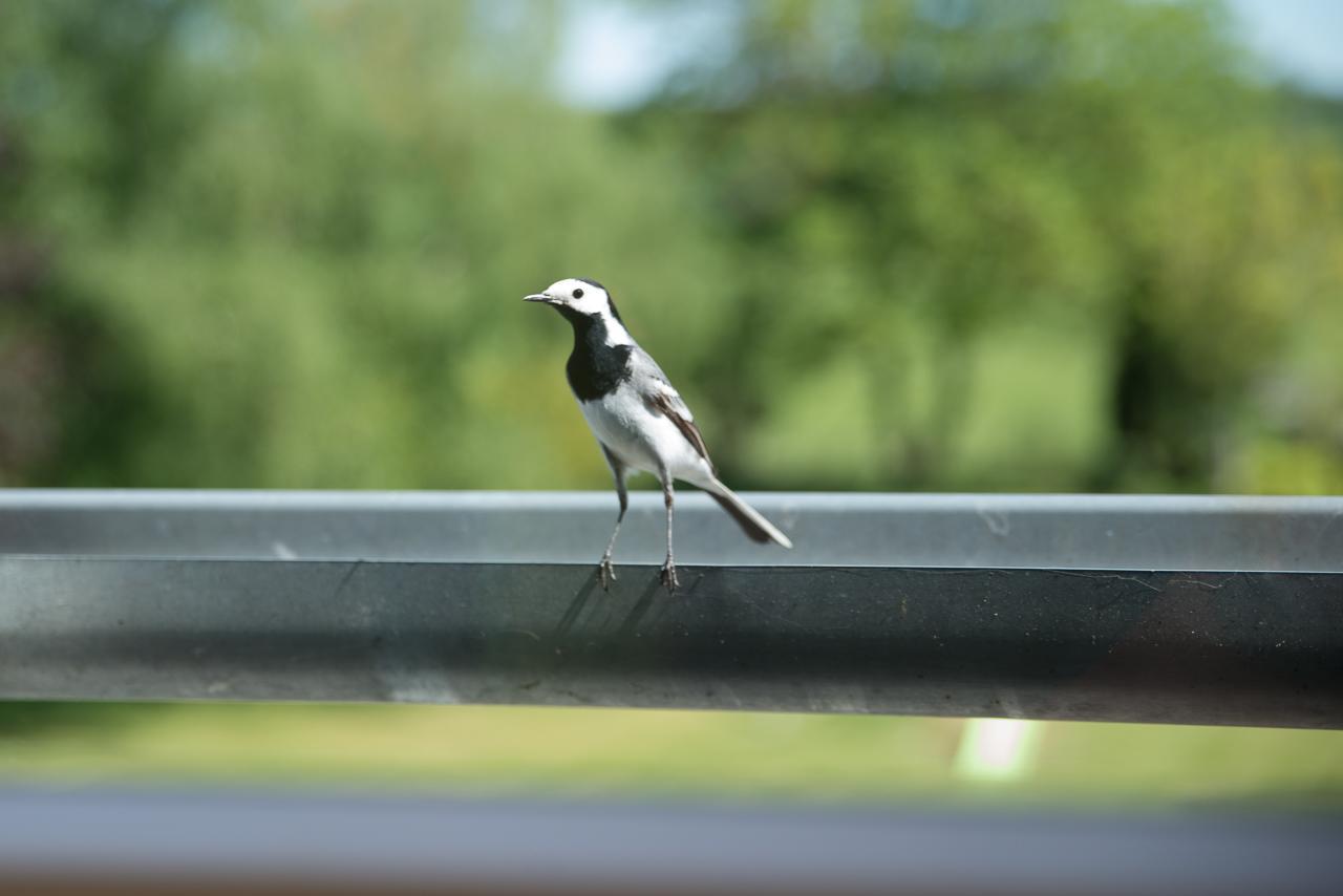 הוילה Vauxaillon Au Jardin Fleuri מראה חיצוני תמונה